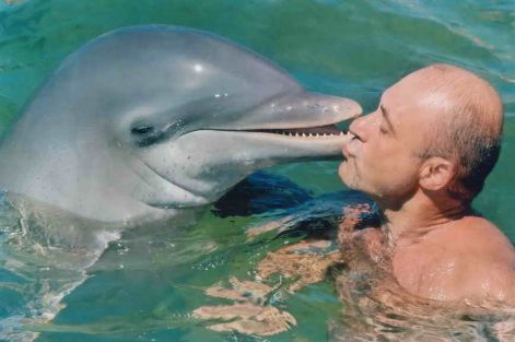 delfincsok_kisebb.jpg