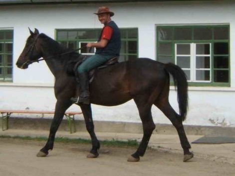 huszargyerek.jpg